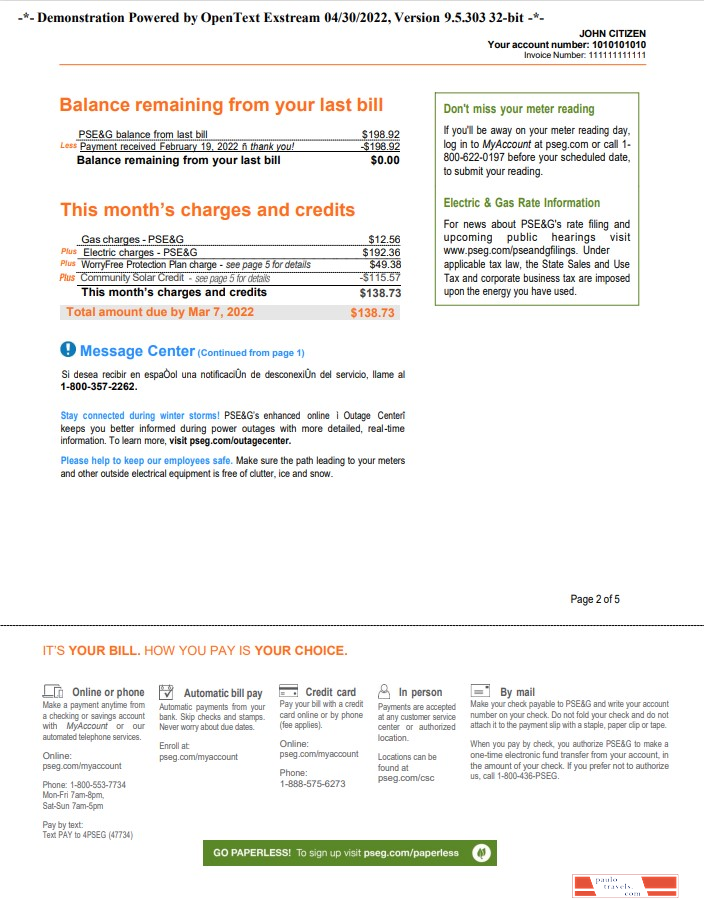 USA New York PSEG utility bill, Word and PDF template, 5 pages 2